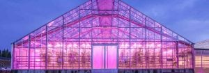 温室 LED 照明
