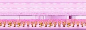 飞利浦 GreenPower LED 生产模块