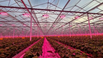 GreenPower LED toplighting compact installations