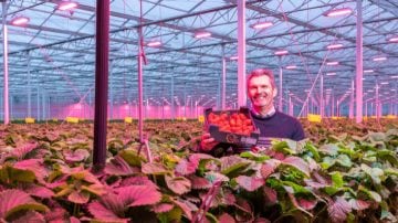 Boudewijn van der Wal from Dutchberries