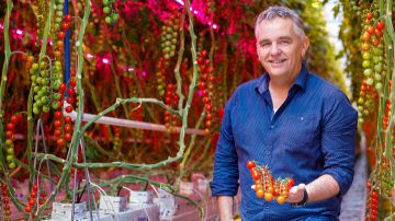 荷兰，Wim Peeters