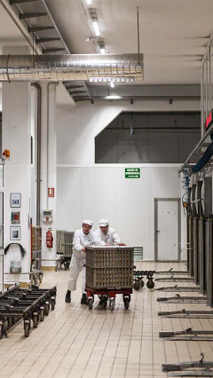 英雄工厂中，这两名工人正在飞利浦食品工业照明提供的灯光下工作