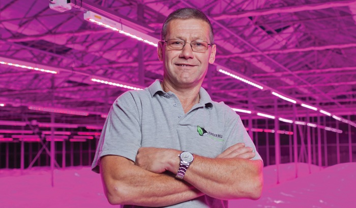 荷兰Maarten Bloemen苗圃灌木LED植物照明案例