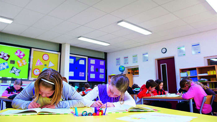 集中照明设置有助于营造 Wintelre 小学理想的课堂学习氛围