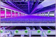 GreenPower LED 生产模块 Dynamic