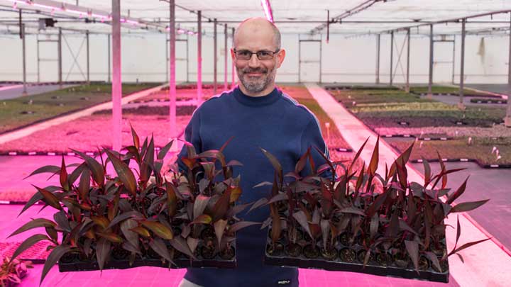 LED植物照明,Kernock Park Plants