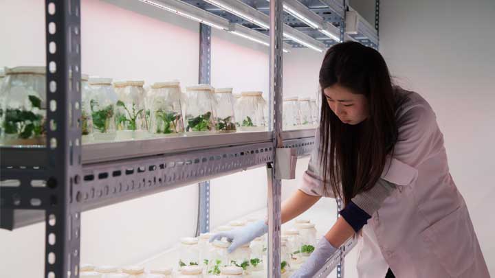 LED植物照明北京市农林科学院蔬菜研究中心
