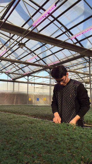 LED植物照明，北京市农林科学院蔬菜研究中心