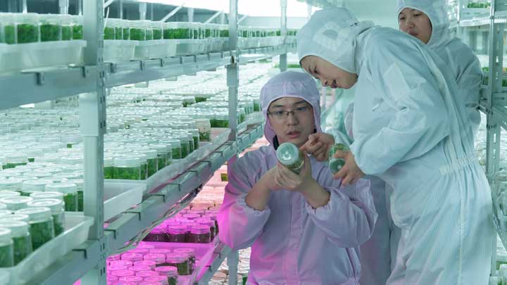 LED植物照明上海大地园艺种苗有限公司