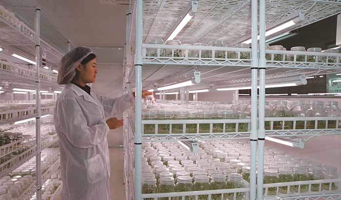 福建西岸生物中医药研发LED植物照明