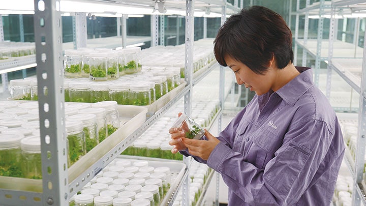 飞利浦，植物照明,辽宁省农业科学院,案例研究