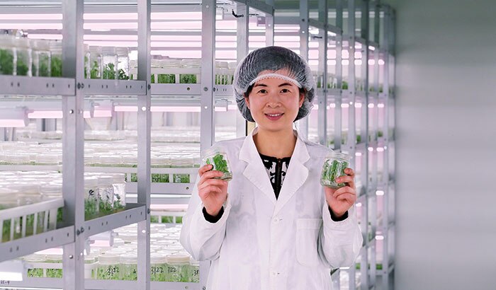 上海星辉种苗农业高新LED植物照明