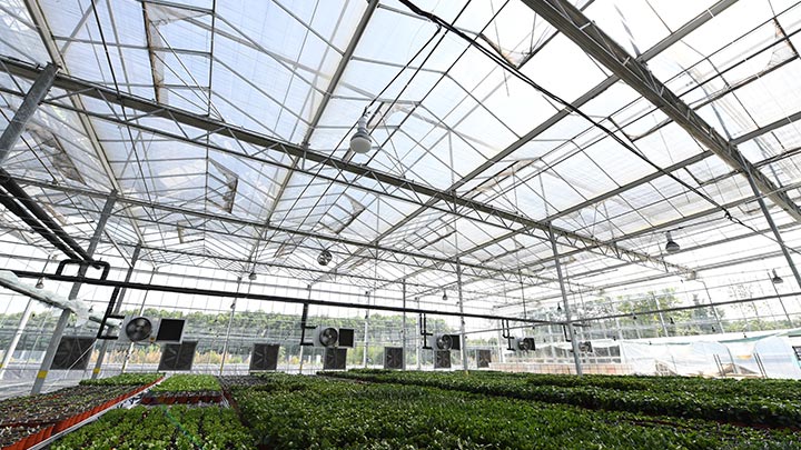 LED植物照明, 上海爱索特公司