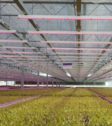 LED植物照明上海交通大学