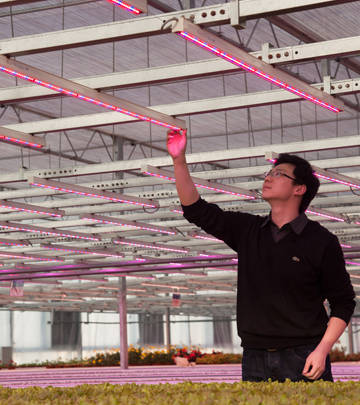 LED植物照明上海交通大学