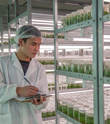 LED植物照明上海星辉组培