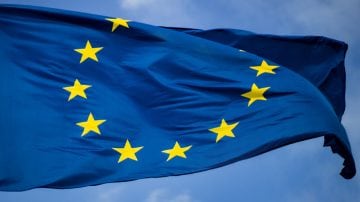 玻璃建筑旁边的一棵树