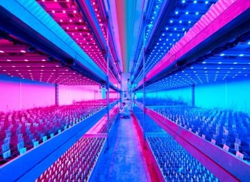 每年多个作物周期