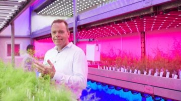 bejo-zaden-challenge