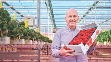 Brookberries 主管，Marcel Dings