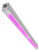 飞利浦 GreenPower LED 植株间照明