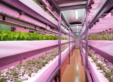 降低食品污染风险