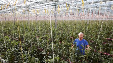 Gourmet Mokai 温室