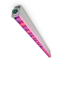 Philips GreenPower LED 顶部照明