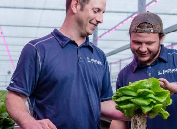 利用 LED 园艺照明技术引领市场