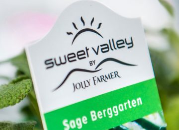 使用 LED 植物生长灯改善作物生长，降低能源成本