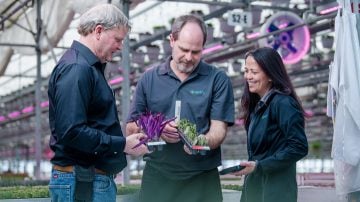 在大客户经理和应用工程师 Signify 团队的支持下，Jolly Farmer 改用 Philips LED