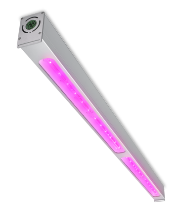 飞利浦 GreenPower LED 顶部照明