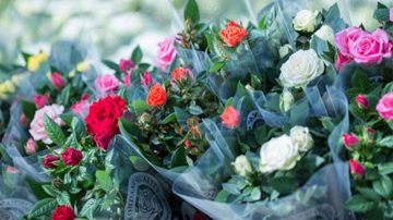 Leo van der Harg 的温室中种植着五颜六色的花束