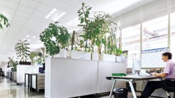 Philips Lighting 产品照亮德国博世的开放式办公区 Philips Lighting 产品照亮德国博世的开放式办公区